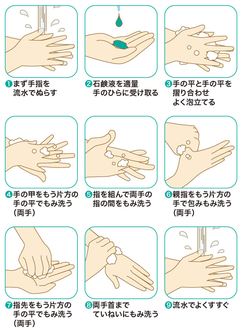 正しい手洗い手順